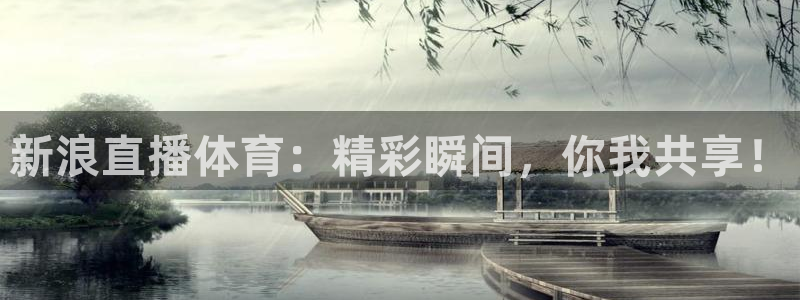 新浪直播体育：精彩瞬间，你我共享！