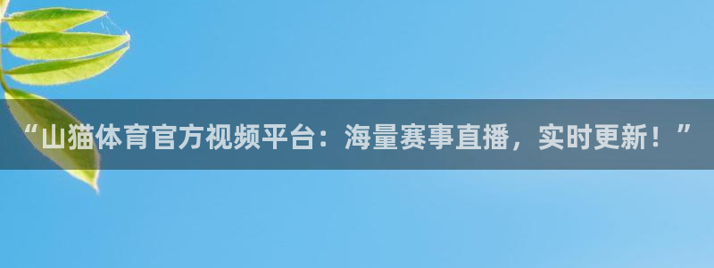 “山猫体育官方视频平台：海量赛事直播，实时更新！”
