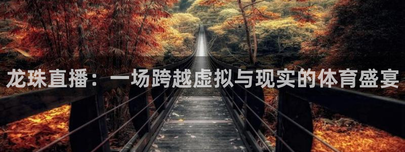 龙珠直播：一场跨越虚拟与现实的体育盛宴
