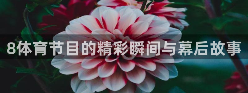 8体育节目的精彩瞬间与幕后故事
