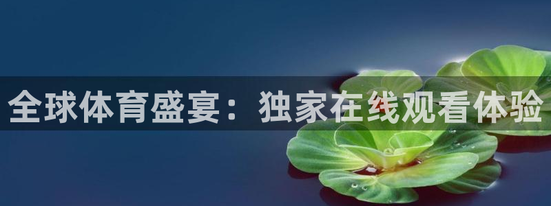 全球体育盛宴：独家在线观看体验