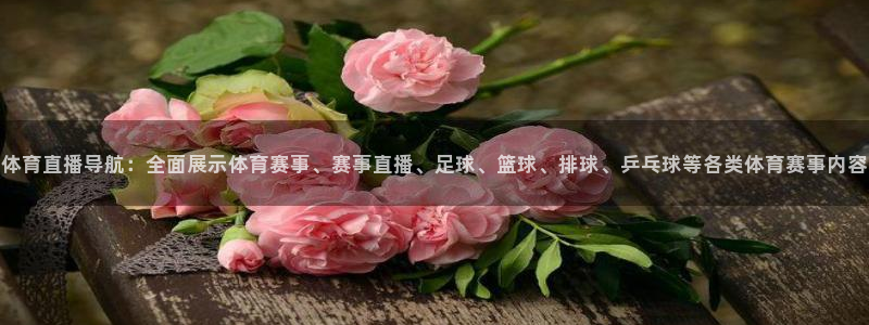 体育直播导航：全面展示体育赛事、赛事直播、足球、篮球、排球、乒乓球等各类体育赛事内容