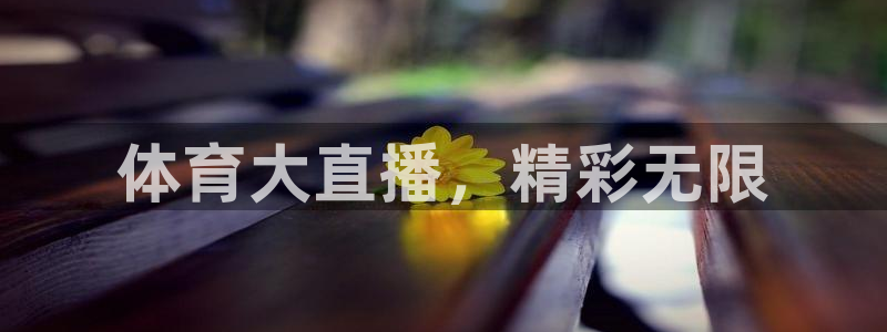 体育大直播，精彩无限