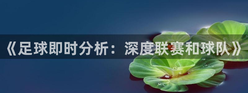 《足球即时分析：深度联赛和球队》