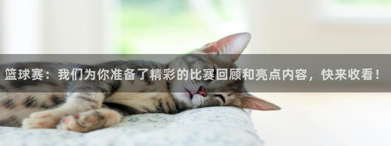 篮球赛：我们为你准备了精彩的比赛回顾和亮点内容，快来收看！
