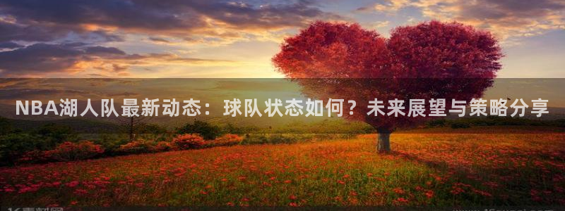 NBA湖人队最新动态：球队状态如何？未来展望与策略分享