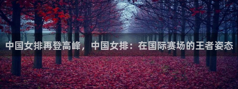 中国女排再登高峰，中国女排：在国际赛场的王者姿态