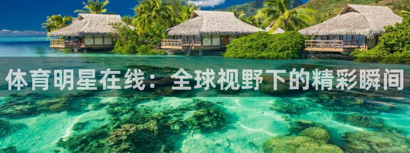 体育明星在线：全球视野下的精彩瞬间