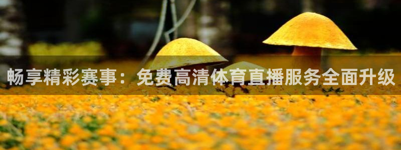 畅享精彩赛事：免费高清体育直播服务全面升级