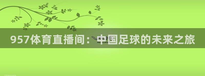 957体育直播间：中国足球的未来之旅