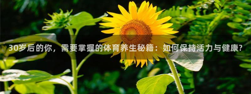 30岁后的你，需要掌握的体育养生秘籍：如何保持活力与健康?