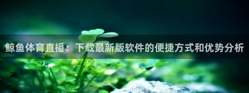 鲸鱼体育直播：下载最新版软件的便捷方式和优势分析