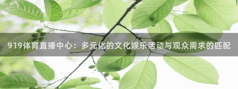 919体育直播中心：多元化的文化娱乐活动与观众需求的匹配
