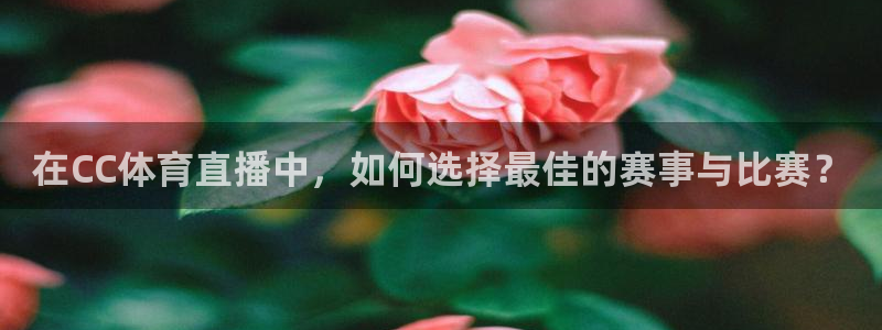 在CC体育直播中，如何选择最佳的赛事与比赛？