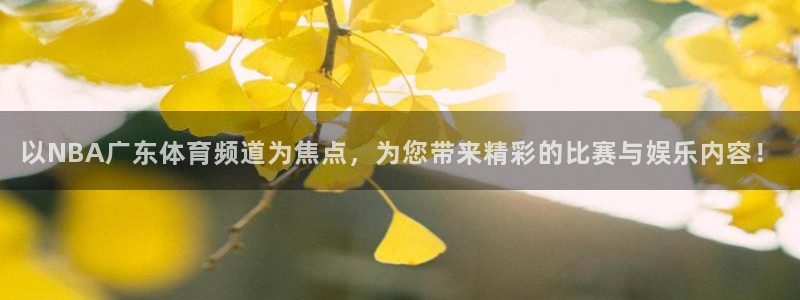 以NBA广东体育频道为焦点，为您带来精彩的比赛与娱乐内容！
