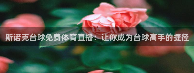 斯诺克台球免费体育直播：让你成为台球高手的捷径