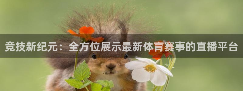 竞技新纪元：全方位展示最新体育赛事的直播平台