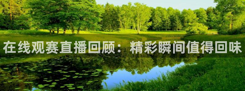 在线观赛直播回顾：精彩瞬间值得回味