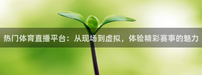 热门体育直播平台：从现场到虚拟，体验精彩赛事的魅力