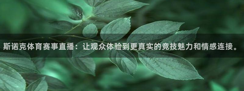 斯诺克体育赛事直播：让观众体验到更真实的竞技魅力和情感连接。