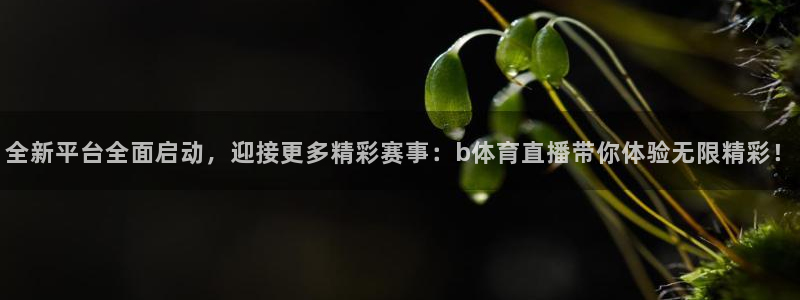 全新平台全面启动，迎接更多精彩赛事：b体育直播带你体验无限精彩！
