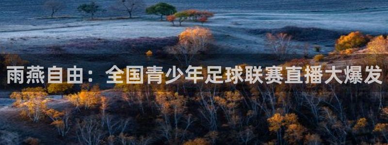 雨燕自由：全国青少年足球联赛直播大爆发