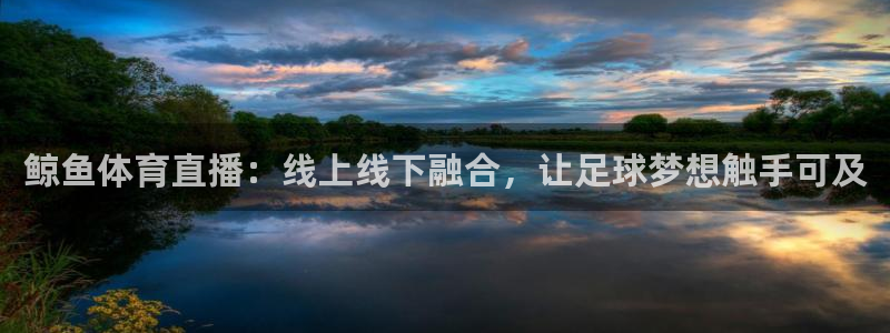 鲸鱼体育直播：线上线下融合，让足球梦想触手可及