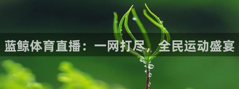 蓝鲸体育直播：一网打尽，全民运动盛宴