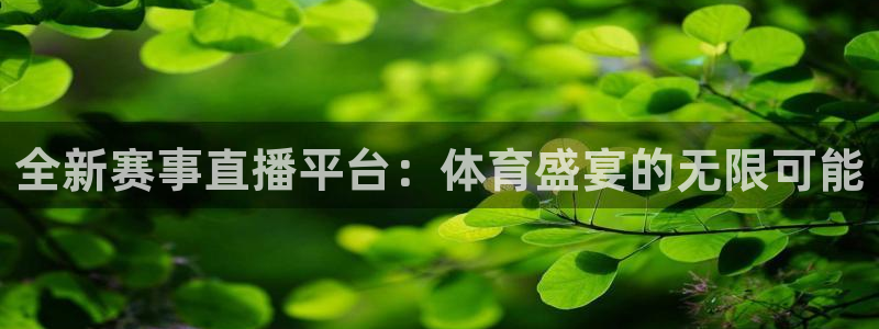 全新赛事直播平台：体育盛宴的无限可能
