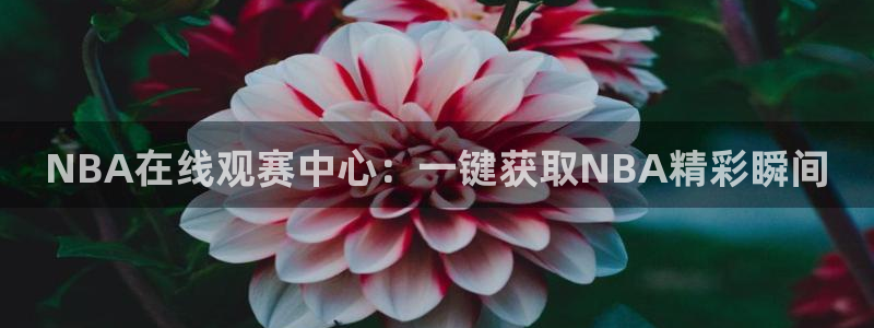 NBA在线观赛中心：一键获取NBA精彩瞬间