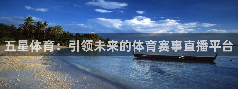 五星体育：引领未来的体育赛事直播平台