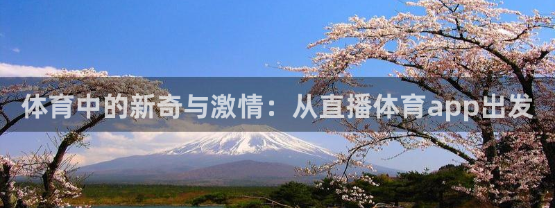 体育中的新奇与激情：从直播体育app出发