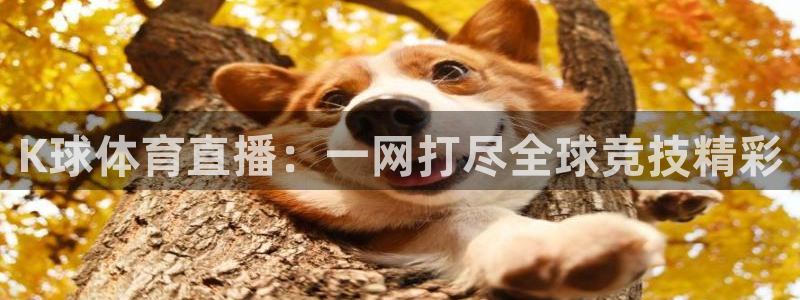 K球体育直播：一网打尽全球竞技精彩