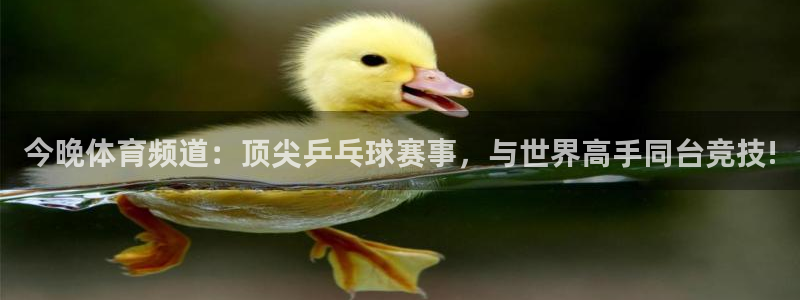 今晚体育频道：顶尖乒乓球赛事，与世界高手同台竞技!