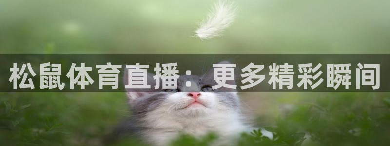 松鼠体育直播：更多精彩瞬间