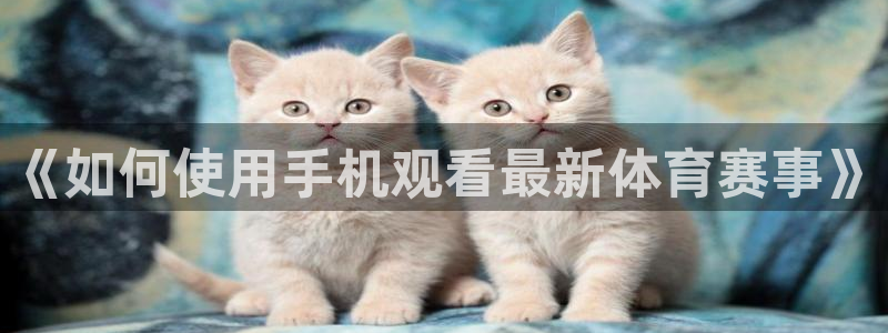 《如何使用手机观看最新体育赛事》