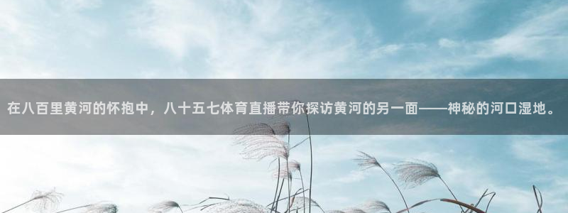 在八百里黄河的怀抱中，八十五七体育直播带你探访黄河的另一面——神秘的河口湿地。