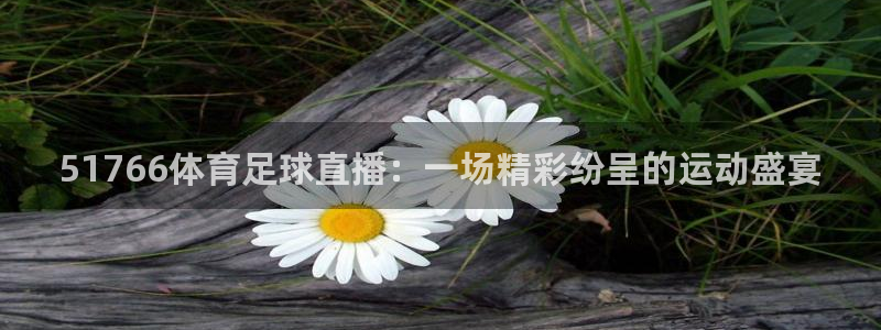 51766体育足球直播：一场精彩纷呈的运动盛宴