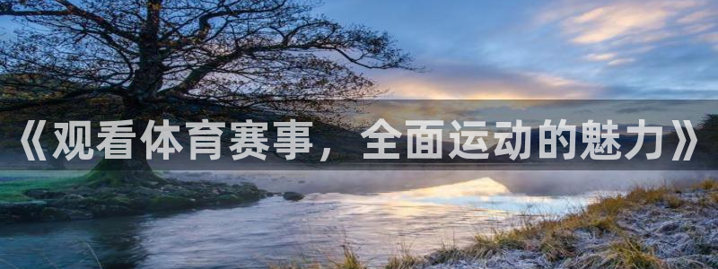 《观看体育赛事，全面运动的魅力》