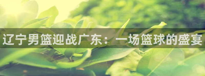 辽宁男篮迎战广东：一场篮球的盛宴