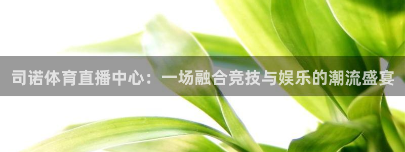 司诺体育直播中心：一场融合竞技与娱乐的潮流盛宴