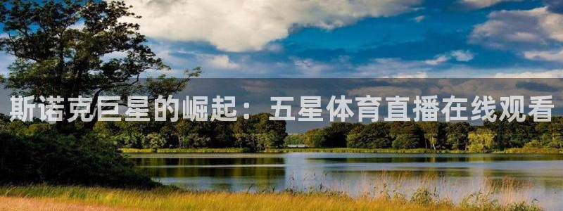 斯诺克巨星的崛起：五星体育直播在线观看