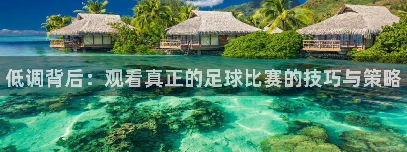 低调背后：观看真正的足球比赛的技巧与策略