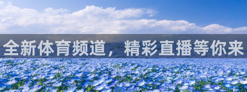 全新体育频道，精彩直播等你来