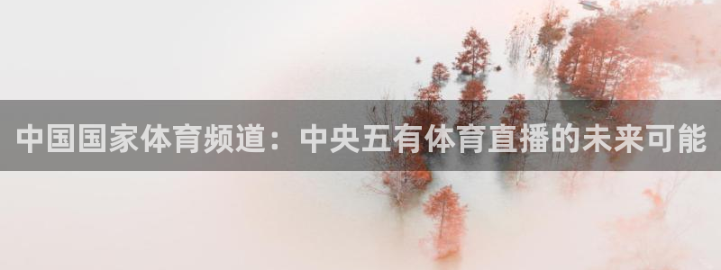 中国国家体育频道：中央五有体育直播的未来可能