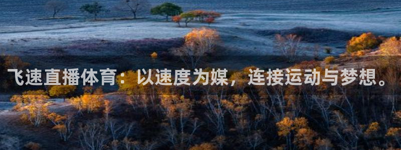 飞速直播体育：以速度为媒，连接运动与梦想。