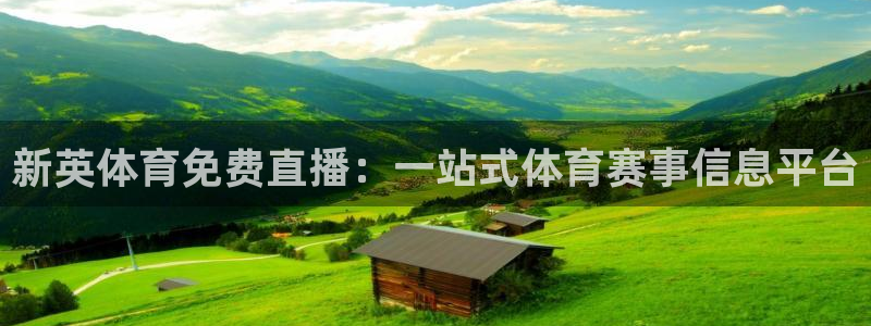 新英体育免费直播：一站式体育赛事信息平台