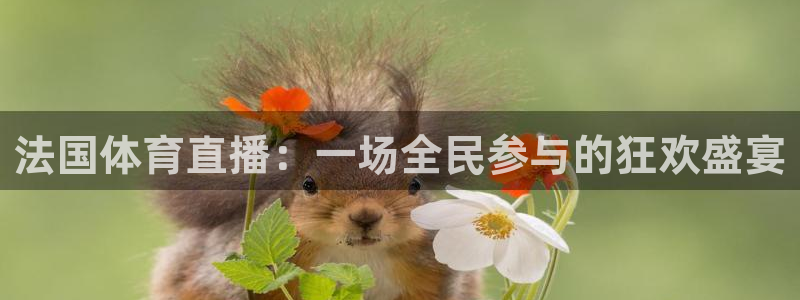 法国体育直播：一场全民参与的狂欢盛宴