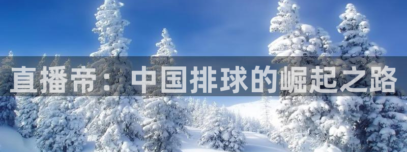 直播帝：中国排球的崛起之路