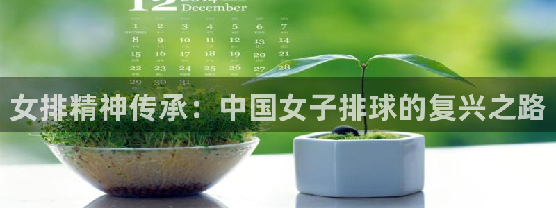 女排精神传承：中国女子排球的复兴之路
